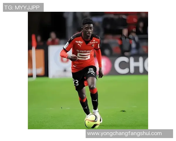 FLFA足球推荐球星盘点全面解析助你了解绿茵场上的耀眼传奇